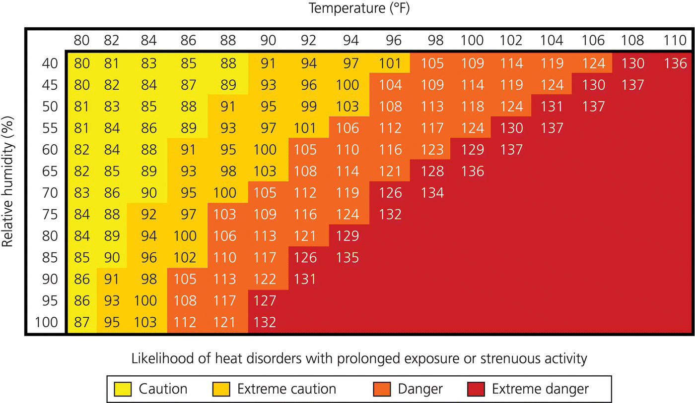 c49-fig-0001