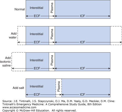 Fluids and Electrolytes | Anesthesia Key