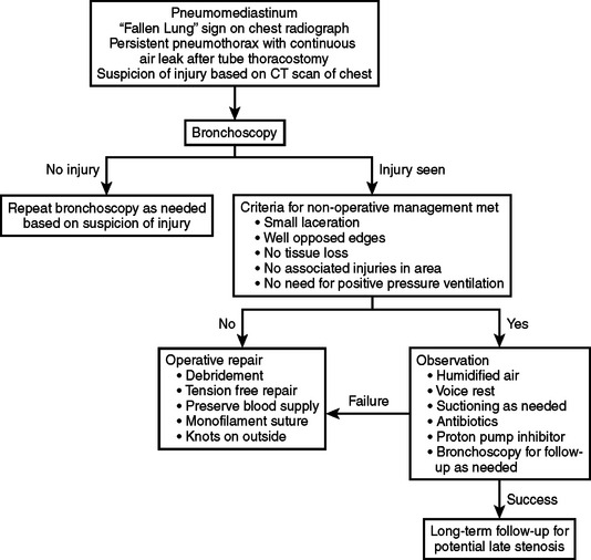 TRACHEAL AND TRACHEOBRONCHIAL TREE INJURIES | Anesthesia Key