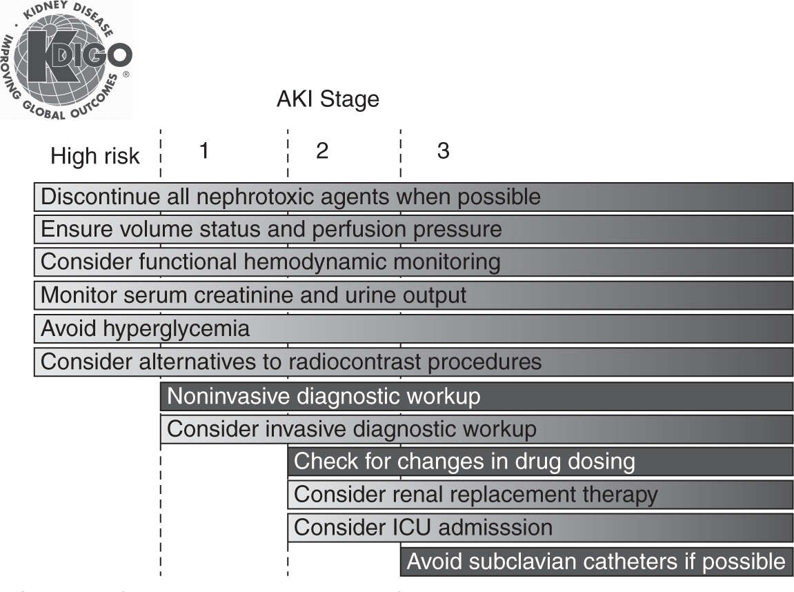 Acute Kidney Injury | Anesthesia Key