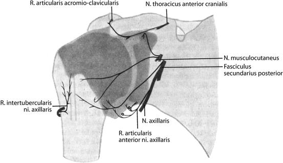 A322505_1_En_4_Fig5_HTML.jpg