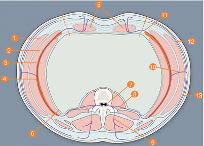 A322756_4_En_53_Fig2_HTML.gif