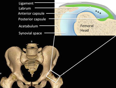 A322756_4_En_67_Fig5_HTML.jpg