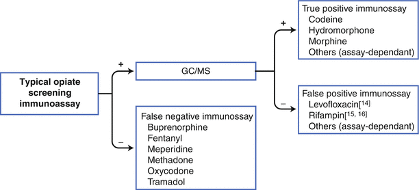 A329205_1_En_15_Fig3_HTML.gif