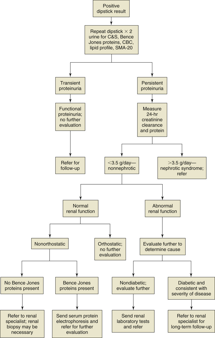 Proteinuria and Hematuria | Anesthesia Key