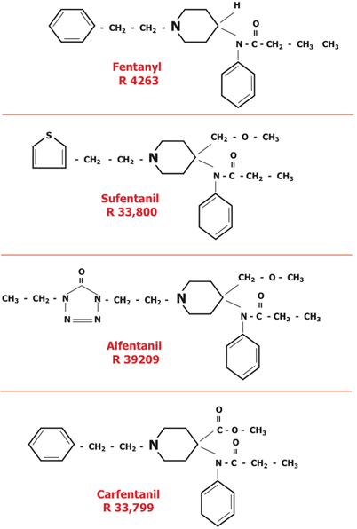 A978-1-4614-8441-7_48_Fig3_HTML.gif