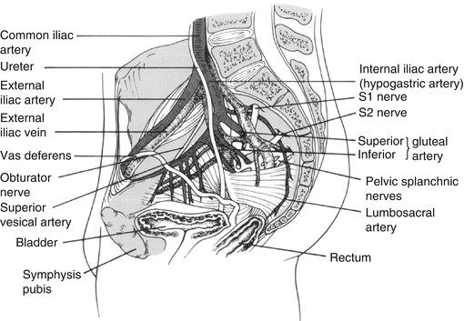 A177709_2_En_10_Fig2_HTML.gif