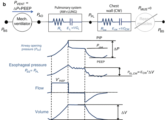 A347122_1_En_14_Fig4b_HTML.gif