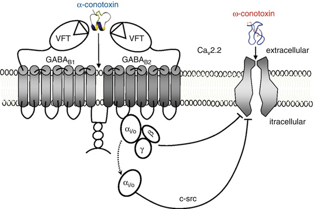 A334271_1_En_35_Fig2_HTML.jpg