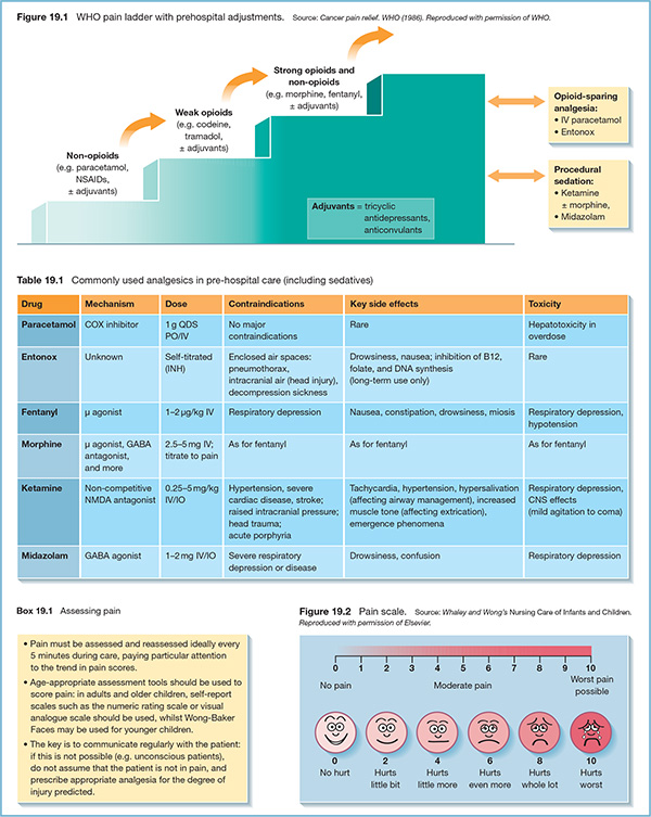 Chart shows prehospital adjustments in pain ladder of WHO with markings for non-opioids, weak opioids, strong opioids and non-opioids, opioid-sparing analgesia, et cetera.