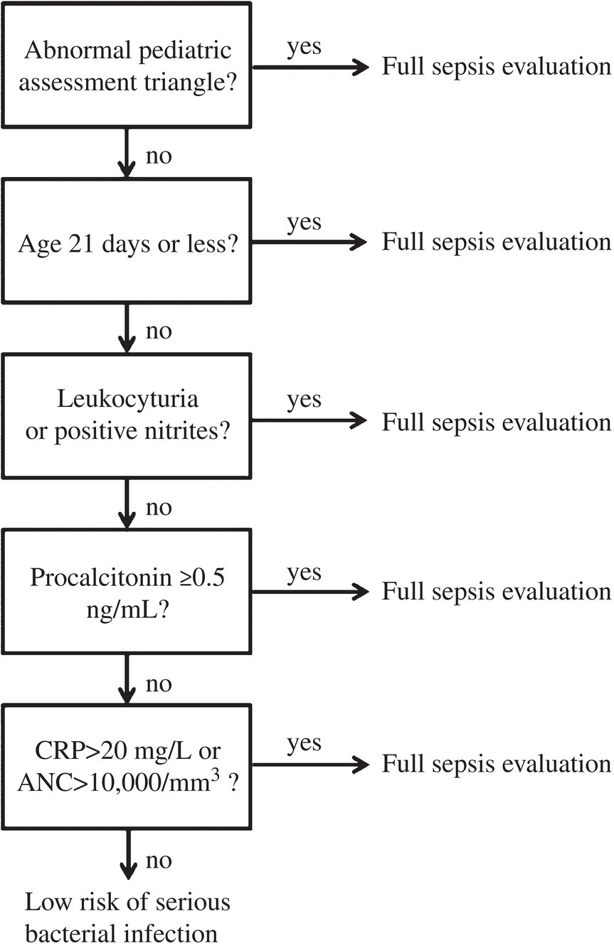 Schematic illustration of step-by-Step febrile infant protocol.