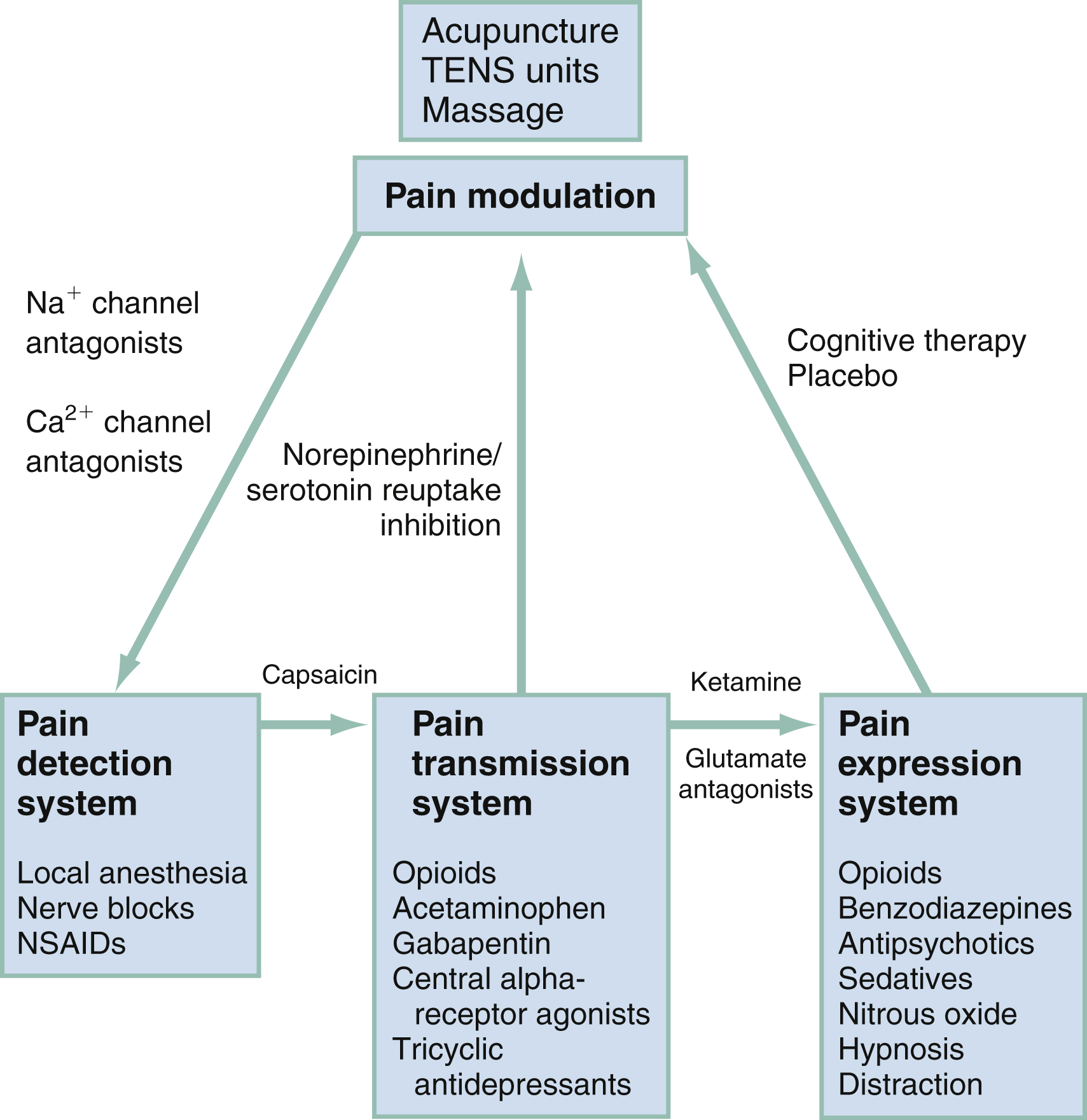 The flowchart shows pain modulation via acupuncture, TENS, or massage targets detection, transmission, and expression. Drugs are NSAIDs, opioids, and antidepressants. The flowchart shows pain modulation, enhanced by interventions, TENS units, and massage, can affect the pain detection, transmission, and expression systems. In the pain detection system, sodium and calcium channel antagonists, local anesthesia, nerve blocks, and NSAIDs are used to reduce pain signals. In the pain transmission system, agents- opioids, acetaminophen, gabapentin, alpha receptor agonists, and antidepressants interfere with signal propagation. The pain expression system is targeted using drugs such as opioids, benzodiazepines, antipsychotics, sedatives, nitrous oxide, and through methods- hypnosis. Cognitive therapies and placebos can also affect pain expression.