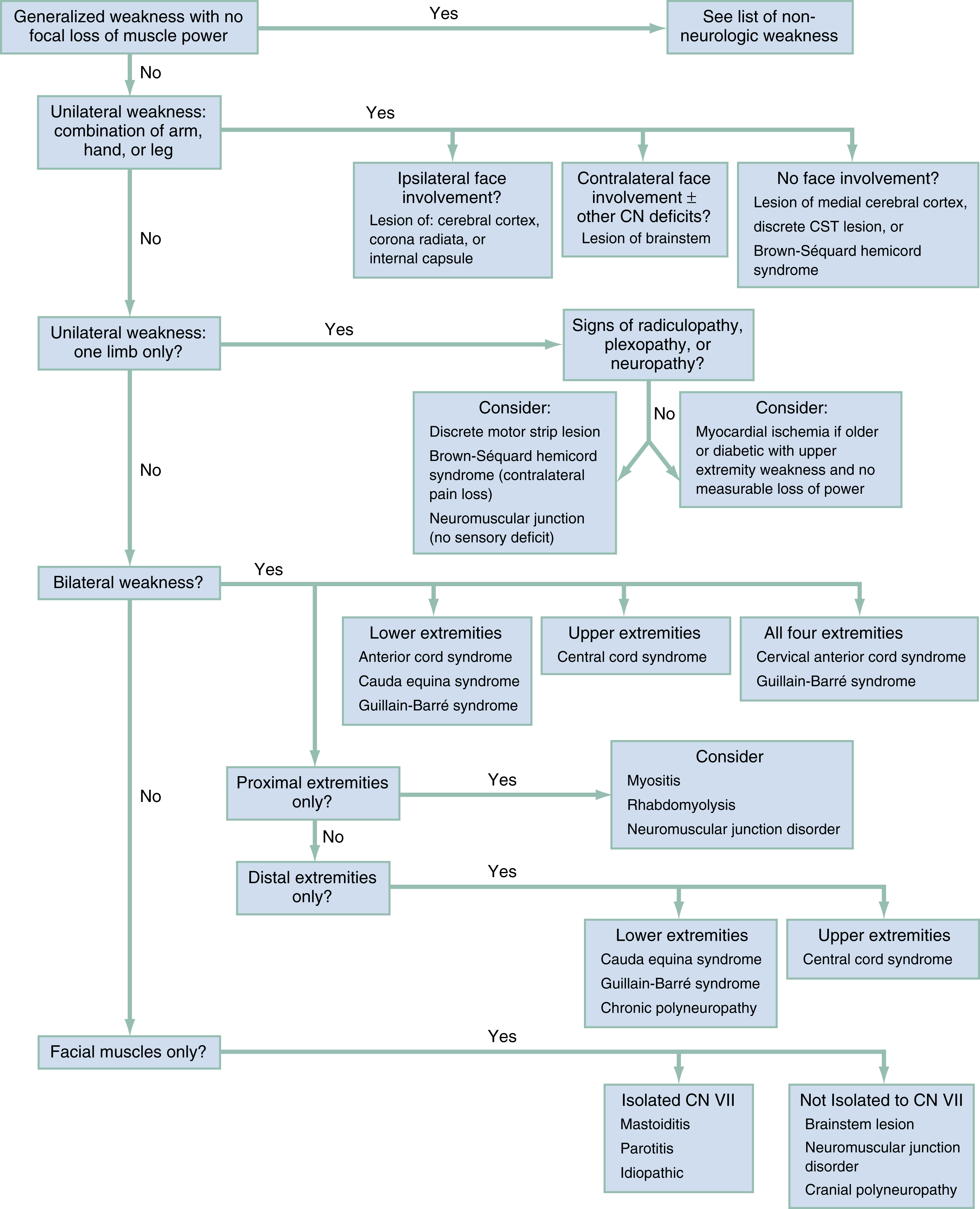 The decision tree diagram shows weakness from generalized to specific patterns, guiding diagnosis by distribution, limb involvement, and facial muscle signs across neuroanatomical levels. The decision tree diagram shows “Common Clinical Patterns of Weakness, Classified and Assessed” systematically guides the evaluation of weakness, beginning by distinguishing generalized weakness without local muscle power loss (potentially non-neurologic) from more specific patterns. It then addresses unilateral weakness, analyzing whether it involves the face (“Lesion of cerebral cortex, or internal capsule,” or contralaterally shows “Lesion of brainstem”) or not (pointing to “Lesion of medial cerebral cortex, or CST lesion, or Brown-Sequard hemicord syndrome”). For unilateral weakness affecting only one limb, the presence of “radiculopathy, plexopathy, or neuropathy” guides further diagnosis towards “Discrete motor strip lesion” or “Neuromuscular junction” issues, while their absence might “Myocardial ischemia.” Bilateral weakness is categorized by affected limbs, directing clinicians to consider “Anterior cord syndrome,” “Cauda equina syndrome,” “Guillain-Barre syndrome” for lower extremities, “Central cord syndrome” for upper extremities, or a combination for “All four extremities.” If weakness is not bilateral, the chart considers if it's limited to “Proximal extremities only” (“Myositis,” “Rhabdomyolysis,” or “Neuromuscular junction disorder”) or “Distal extremities only” (leading to diagnoses- “Cauda equina syndrome,” “Guillain-Barre syndrome,” or “Chronic polyneuropathy” for lower extremities, or “Central cord syndrome” for upper extremities). Lastly, weakness affecting “Facial muscles only” is differentiated into “Isolated CN VII” conditions (“Bell's palsy,” “Peroneal,” “Idiopathic”) or “Not isolated to CN VII” involvement of “Brainstem lesion,” “Neuromuscular junction disorder,” or “Cranial polyneuropathy”).