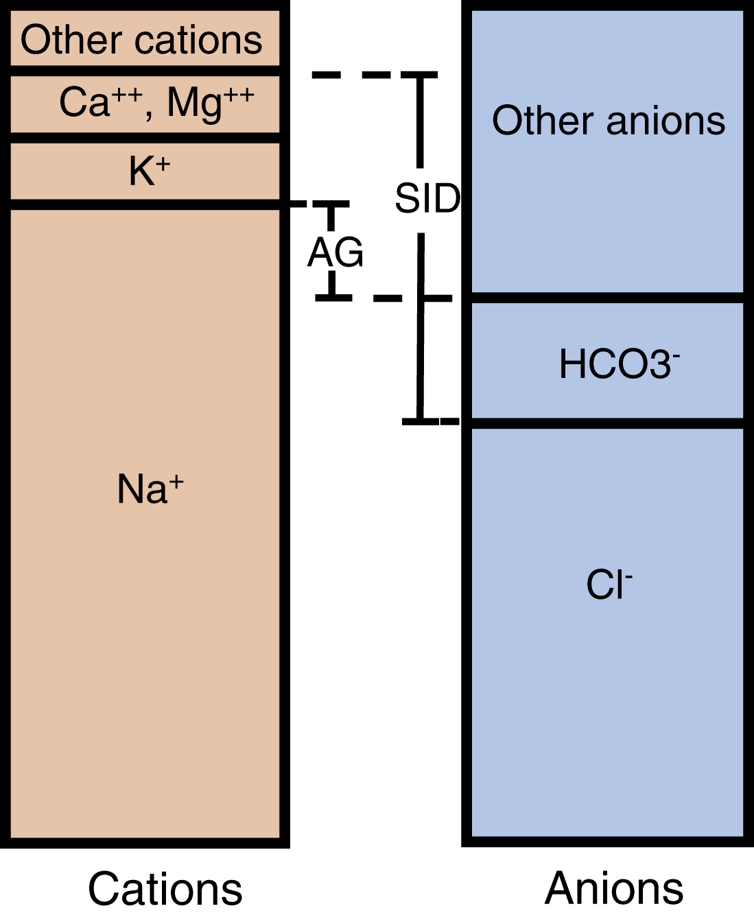 The diagram shows the cations Na, K, Ca, Mg, other cations; anions Cl, HCO3, other anions. Anion gap AG is Na minus Cl plus HCO3. Strong ion difference SID is strong cations minus anions. The diagram shows cations and anions for plasma electroneutrality. Cations include Na⁺, K⁺, Ca²⁺, Mg²⁺, and other cations. Anions include Cl⁻, HCO₃⁻, and other anions. Anion gap labeled AG is the difference between Na⁺ and the sum of Cl⁻ and HCO₃⁻, while strong ion difference labeled SID shows the difference between strong cations and anions.