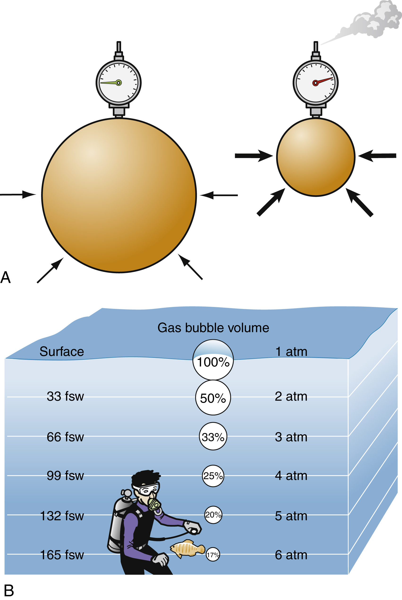 The diagram shows the volume-pressure changes: large low-pressure, small high-pressure. Diver diagram shows bubble volume shrinking with depth from 100% at surface to 16% at 165 fsw. The diagram shows two parts. Part A shows two gas-filled spheres, each connected to a pressure gauge. The left sphere is large with inward-pointing black arrows shows lower pressure and larger volume, while the right sphere is smaller with outward arrows and steam, shows higher pressure and reduced volume. Part B depicts an underwater diver near the ocean floor holding an object and a column showing “Gas bubble volume” versus depth in feet of seawater (fsw). At the surface (1 atm), bubble volume is 100%, at 33 fsw (2 atm) it is 50%, at 66 fsw (3 atm) it is 33%, at 99 fsw (4 atm) it is 25%, at 132 fsw (5 atm) it is 20%, and at 165 fsw (6 atm) it is 16%.