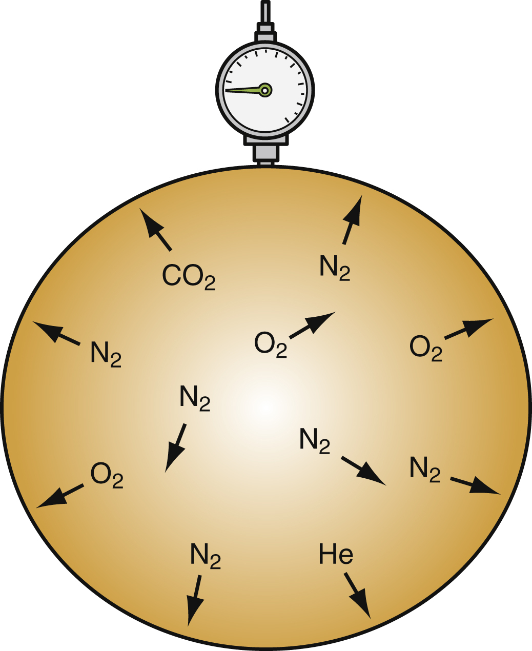 The diagram shows a gas sphere with a pressure gauge, gases CO₂, O₂, N₂, and He, each with arrows shows they act independently as if each alone occupies the entire volume. The diagram shows a single large gas-filled sphere connected to a pressure gauge at the top. Inside the sphere are labels and arrows shows different gases: “CO₂” with outward arrows, “O₂” with outward arrows, “N₂” repeated multiple times with arrows pointing in various directions, and “He” with an outward arrow. The arrows shows that each gas behaves as if it alone occupies the total volume.