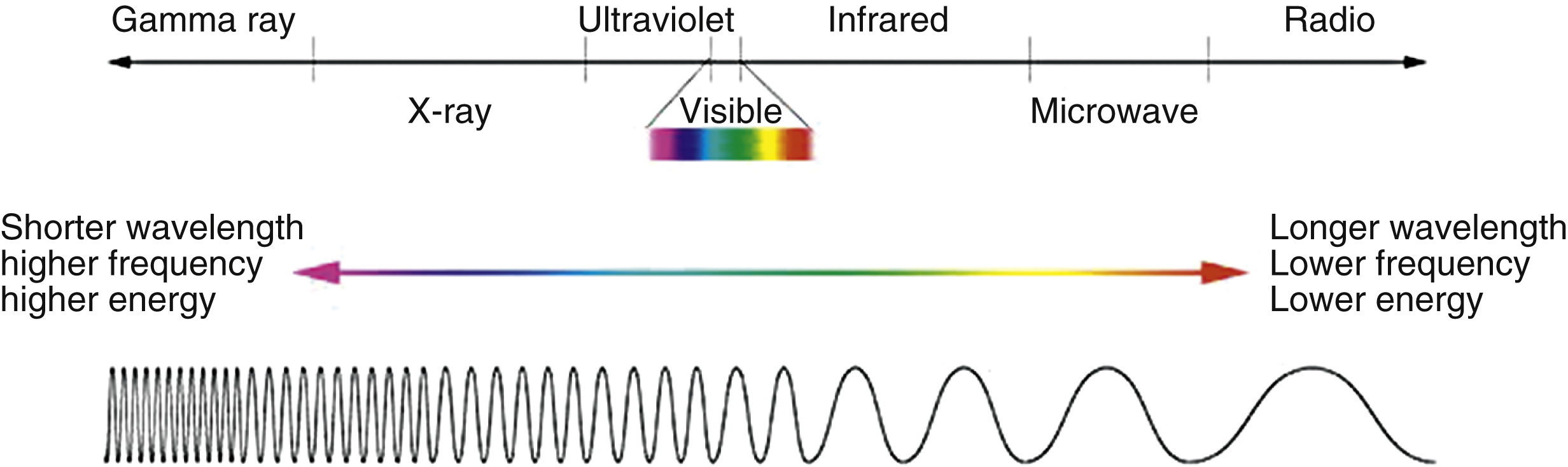 The diagram shows the electromagnetic spectrum from gamma ray to radio: visible light marked by rainbow prism, shorter wavelength with higher energy left, longer wavelength with lower energy right. The diagram shows the electromagnetic spectrum, Gamma ray, X-ray, Ultraviolet, Visible, Infrared, Microwave, and Radio regions. A rainbow prism marks the visible spectrum. A wave diagram below shows shorter wavelength, higher frequency, higher energy on the left transitioning to longer wavelength, lower frequency, lower energy on the right.