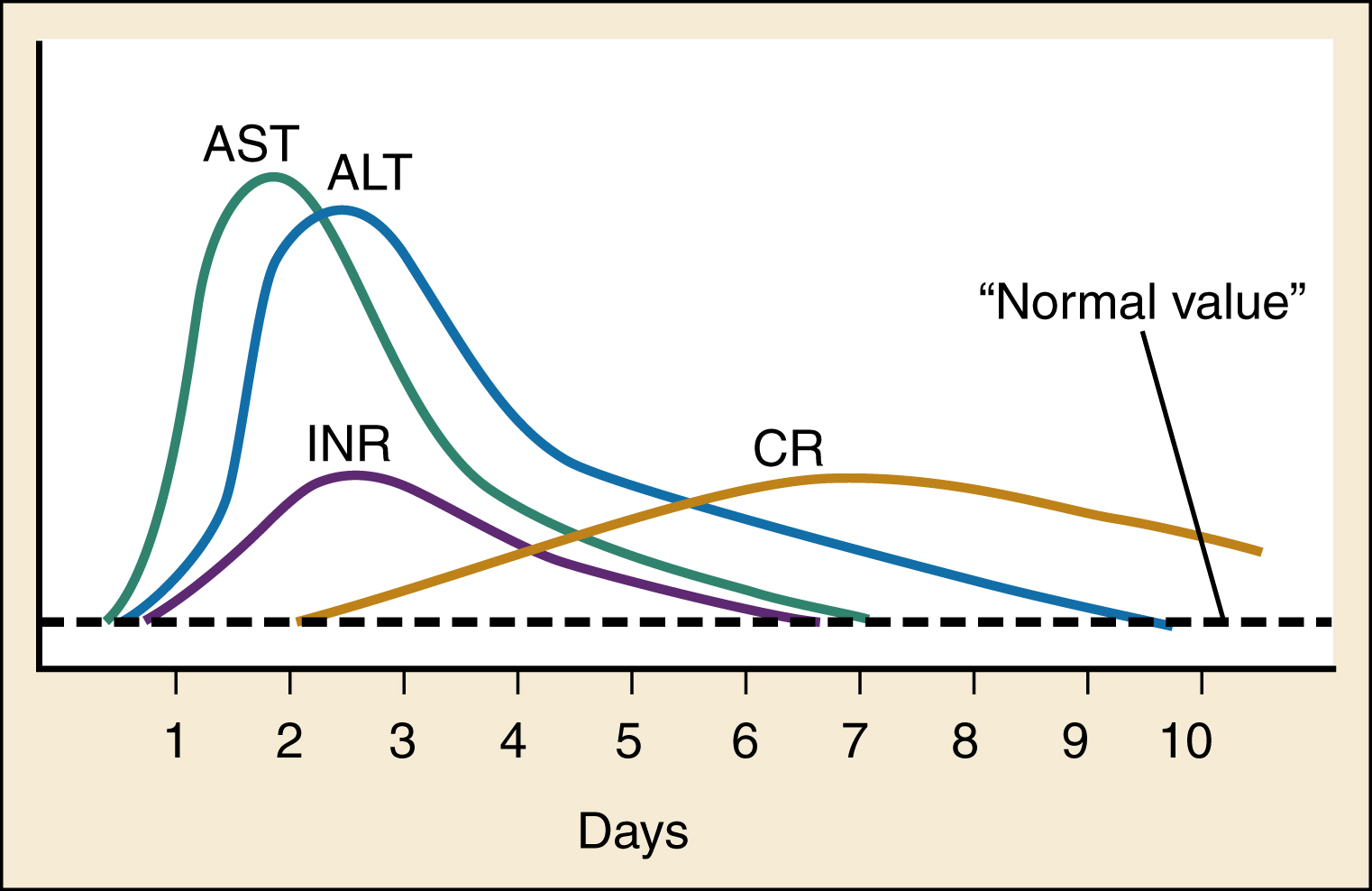 The diagram shows acetaminophen liver injury labs: ALT and AST peak at day two to three then fall, INR rises and declines gradually, CR peaks later near day six, all return toward normal. The graph shows changes in laboratory values over ten days in acetaminophen-induced hepatic dysfunction. The x-axis is labeled Days and the y-axis is relative laboratory value with a dashed horizontal line labeled Normal value. ALT alanine transaminase and AST aspartate transaminase peak sharply around day two to three and then decline. INR international normalized ratio rises and falls more gradually, peaking later, while CR creatinine shows a smaller, prolonged elevation peaking around day six before returning toward baseline.