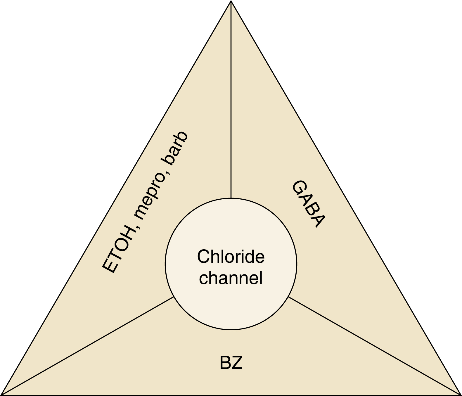 The triangular diagram shows three sections: GABA, BZ, and EtOH, mepro, barb. At the center is a circle labeled Chloride channel, shows receptor complex binding sites.