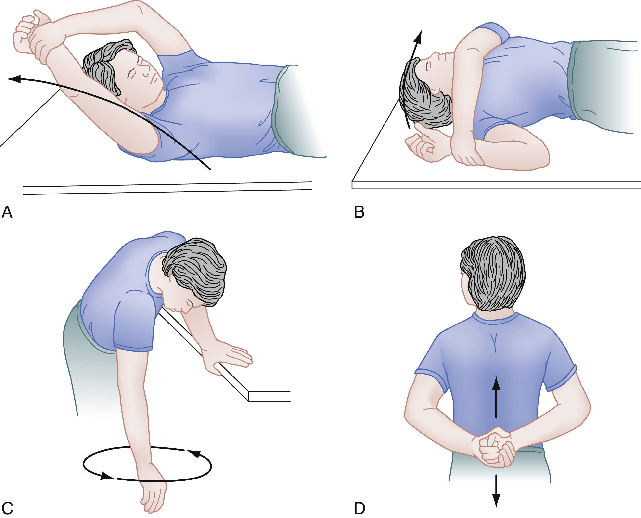 The Illustration titled shows four distinct exercises A) passive flexion, B) passive external rotation, C) pendular swing, D) passive internal rotation with hands clasped behind back. The Illustration titled “Types of Active and Passive Shoulder Exercises” shows four distinct exercises. A, “Passive flexion,” shows a person lying on their back with one arm extended overhead, being pulled further by the other hand. B, “Passive external rotation,” depicts a person lying on their side with their head resting on their lower arm, while their upper arm is bent at the elbow, showing external rotation. C, “Pendular,” shows a person bending forward at the waist with one arm hanging freely and swinging in a circular motion. D, “Passive internal rotation,” shows a person standing with their hands clasped behind their back.