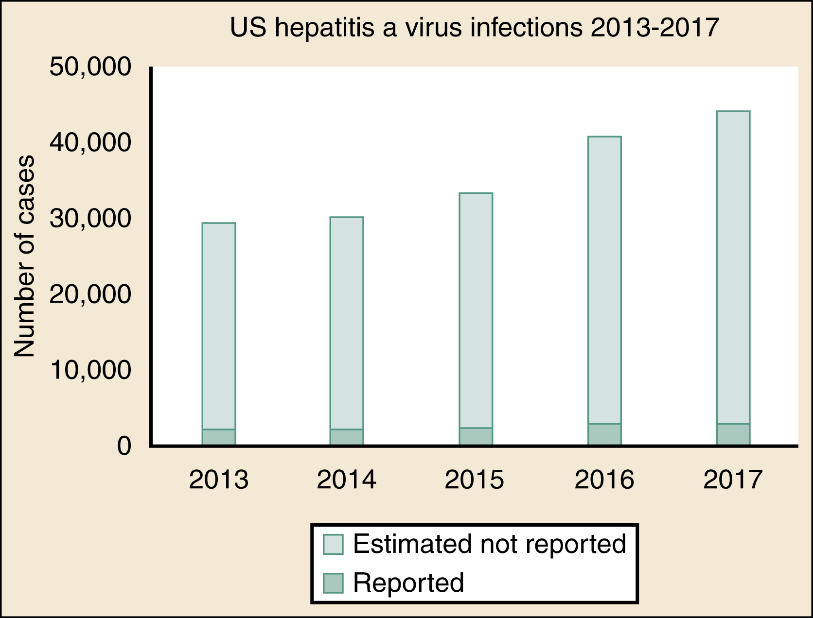 The graph shows US hepatitis A infections (2013–2017) shows reported cases in dark blue and estimated unreported in light blue, rising from about 30k in 2013 to nearly 45k by 2017. The graph shows US hepatitis A virus infections from 2013 to 2017. The vertical axis is labeled “Number of cases,” ranging from 0 to 50,000, and the horizontal axis lists the years 2013, 2014, 2015, 2016, and 2017. Each bar is divided into two segments: “Reported” cases shown in dark blue at the base and “Estimated not reported” cases shown in light blue above. The bars shows that estimated not reported cases are consistently higher than reported cases each year. The total number of cases increases over time, starting around 30,000 in 2013 and 2014, rising to approximately 35,000 in 2015, then increasing further to about 40,000 in 2016 and reaching close to 45,000 in 2017. A legend at the bottom of the graph identifies the color coding for “Estimated not reported” and “Reported.”