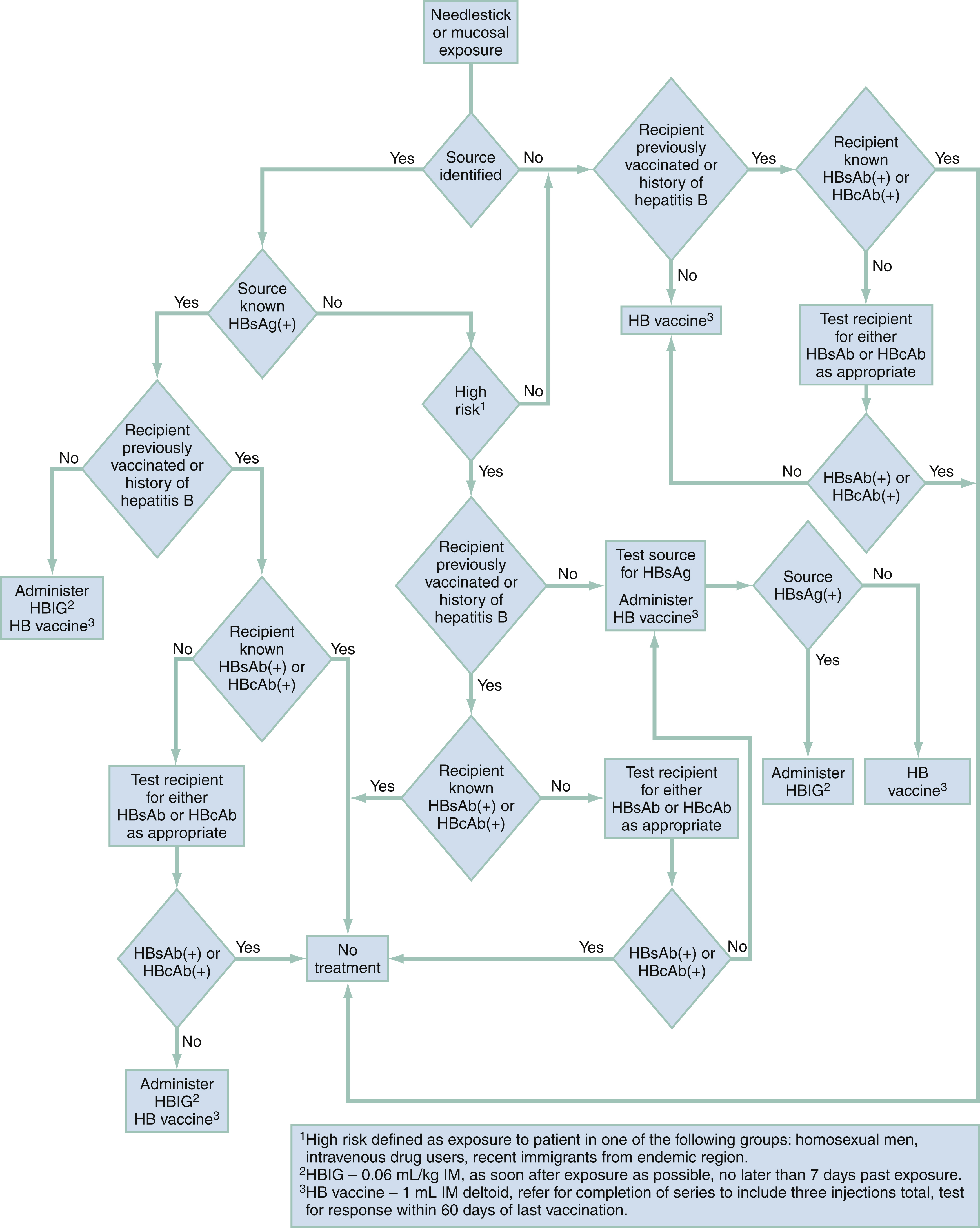 The decision tree diagram shows healthcare worker exposure: if source identified, test HBsAg; positive or unknown results guide HB vaccine and antibody status, negative needs no treatment. The decision tree diagram shows the management of healthcare workers exposed to blood or other infectious secretions. It begins with “Needlestick or mucous membrane exposure” and splits based on whether the “Source is identified.” If identified, testing for “HBsAg” (Hepatitis B surface antigen) is performed. For sources positive for HBsAg or unknown, management depends on the vaccination and antibody status of the recipient. “Recipient vaccinated with history of response to HB vaccine” leads to “No treatment.” For “Recipient not vaccinated or unresponsive,” options include “Administer HB vaccine” and “HBIG” (Hepatitis B immune globulin). If the source is HBsAg negative, no treatment is required. For high-risk sources or unknown status, the algorithm recommends testing recipients for anti-HBs (antibody to hepatitis B surface antigen) and deciding between “No treatment,” “HB vaccine,” or “HBIG” based on immune status. Notes define high-risk exposure as involving groups such as homosexual men, injection drug users, or those from endemic areas, and clarify vaccine and immune response thresholds, including administering prophylaxis if exposure occurred within seven days.