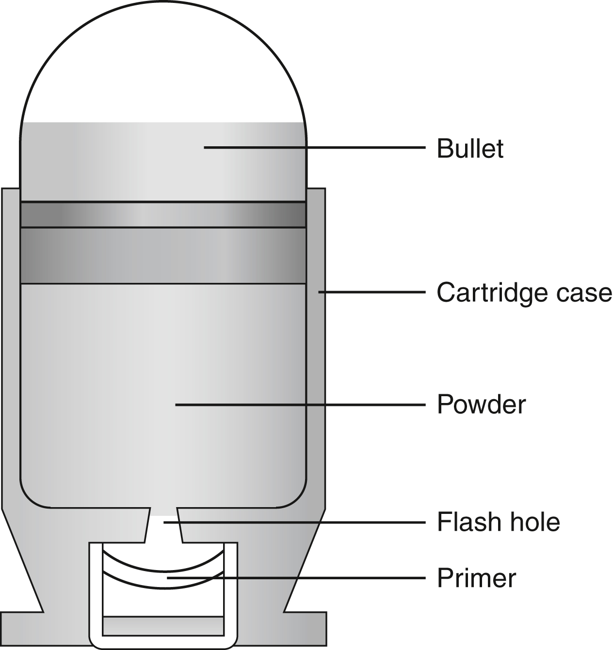 The diagram shows a cartridge diagram showing bullet, cartridge case, powder, flash hole, and primer. The primer ignites the powder through the flash hole, propelling the bullet. The diagram shows a cartridge with labeled components. At the top is the bullet, which sits inside the cartridge case that forms the outer shell. Inside the case, a section is filled with powder, which acts as the propellant. Below the powder is a small opening labeled as the flash hole, connecting the primer at the bottom of the cartridge to the powder. The primer, positioned at the base, ignites the powder when struck, initiating the firing process.