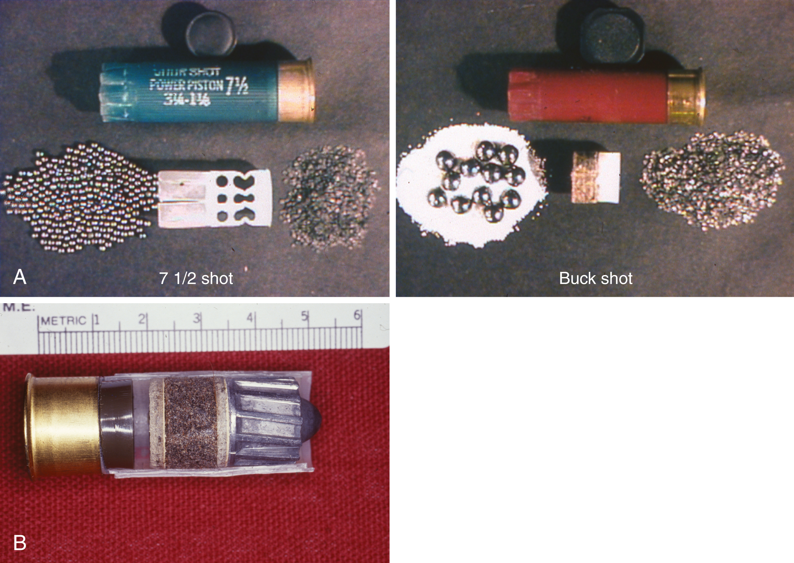 The diagram shows shotgun ammo: 7 1/2 shot with many small pellets, buckshot with larger pellets, and a cut-open slug cartridge revealing slug, wads, and powder inside. The diagram shows shotgun ammunition and components. The top row displays a 7 1/2 shot shell with numerous small pellets and a buckshot shell with larger pellets, each disassembled to show pellets, wads, and powder. The bottom shows a single shotgun slug cartridge cut open to display its internal structure, including the slug, wads, and powder inside the casing.