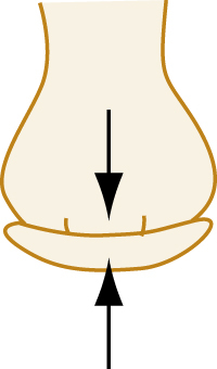 Image, AltText currently not available